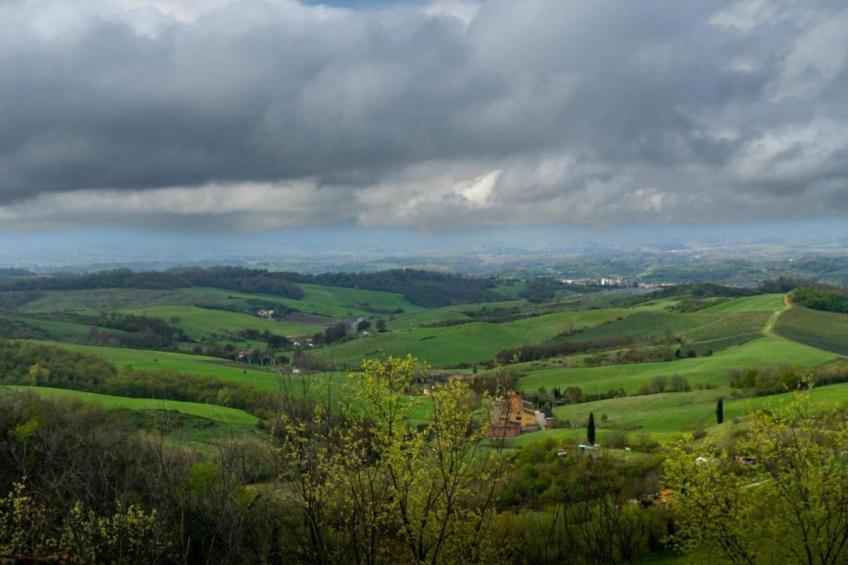 Podere Pulicciano Orciaia - foto 37