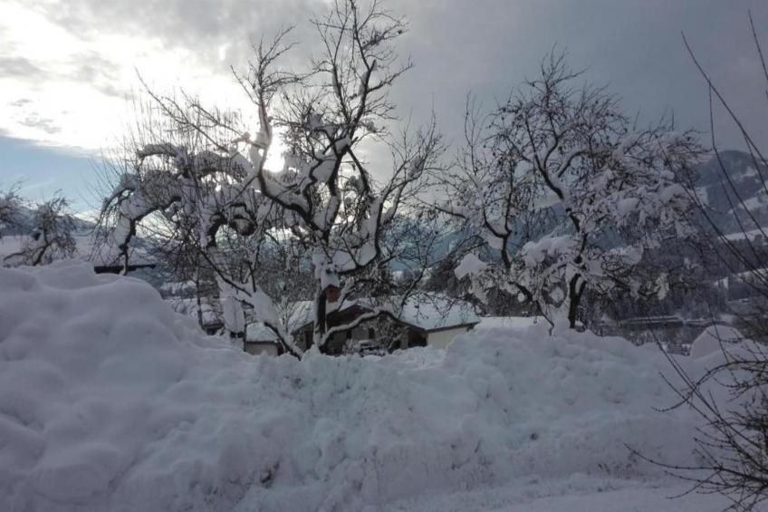 Kirchenbauer - foto 38