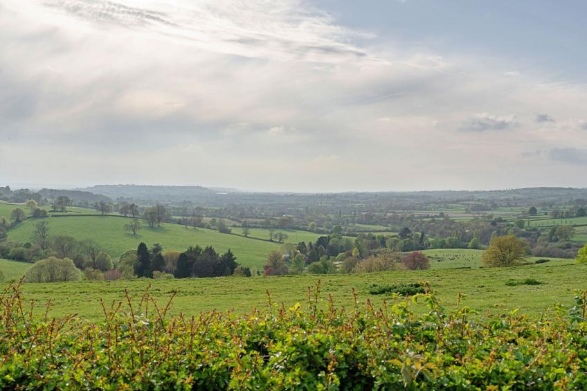 Greenhills Cottage - foto 16