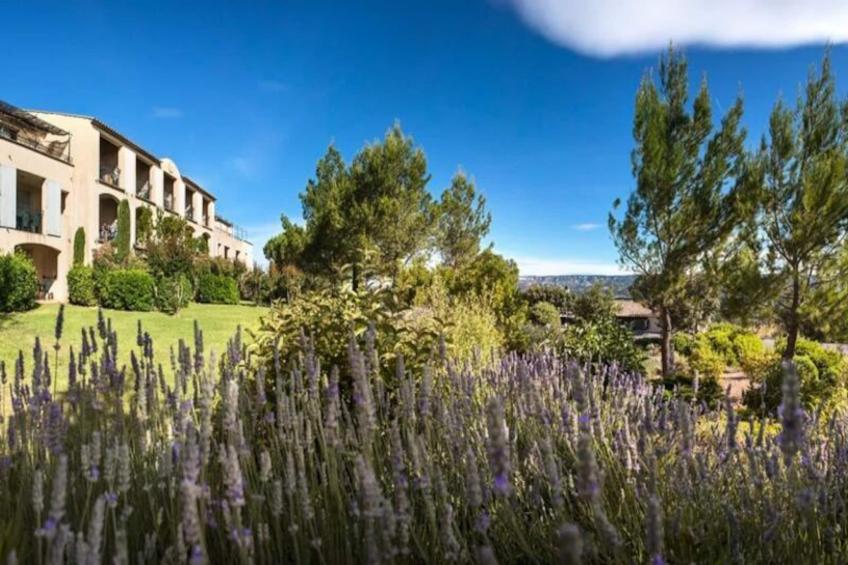 Les Mas et Villas de Pont Royal en Provence - maeva Home - foto 2
