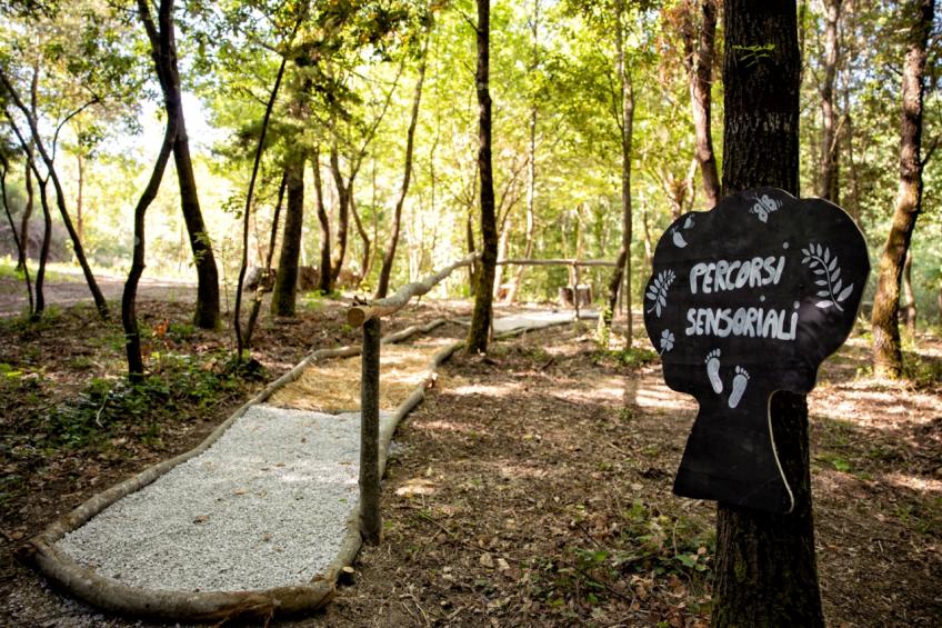 Il Poggio Degli Olivi  Superior 2-room 4 - foto 16