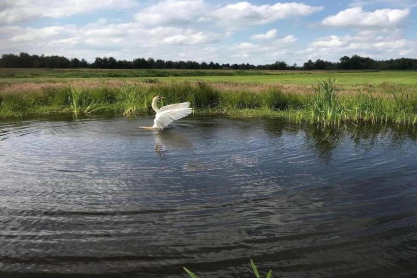 Chalet Famke - foto 35