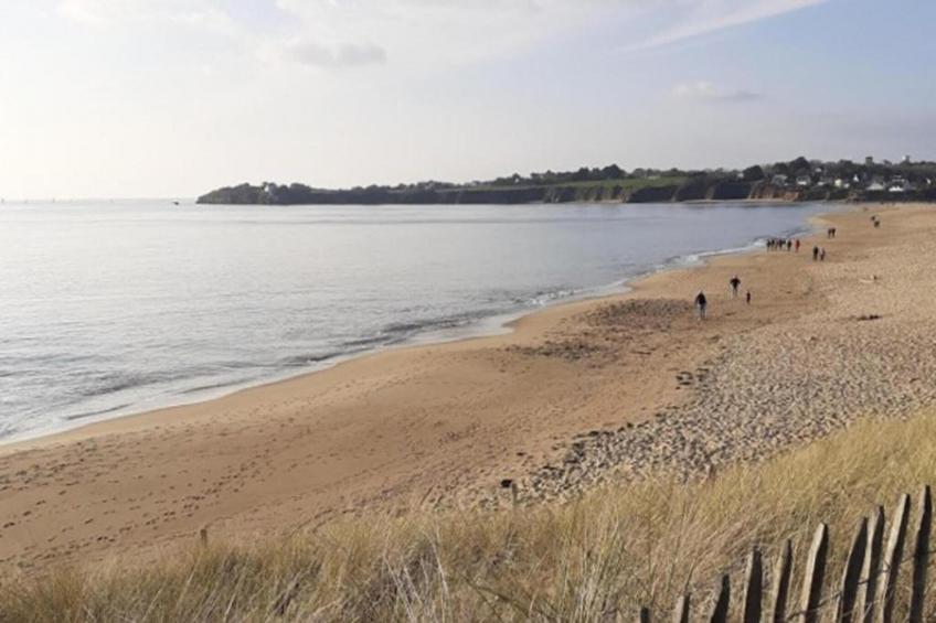 Fleur de Sel - foto 26