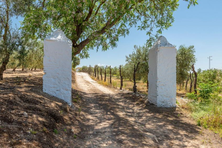 Hacienda San Antonio - foto 83