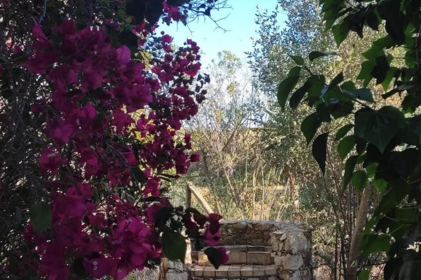 mit Pool und 5 Schlafzimmern für 10 Personen. - foto 36