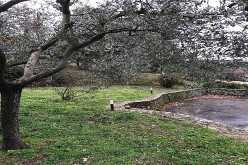 Villa Melograno - foto 30