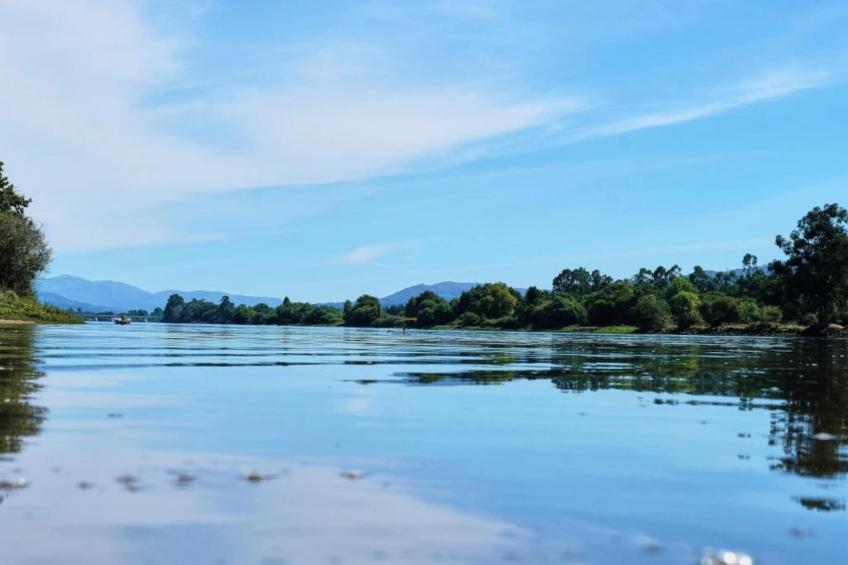 Casa da Castanheta - foto 27
