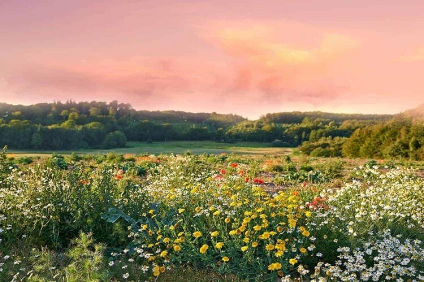 vakantiehuis, Oswino - Type A - foto 28