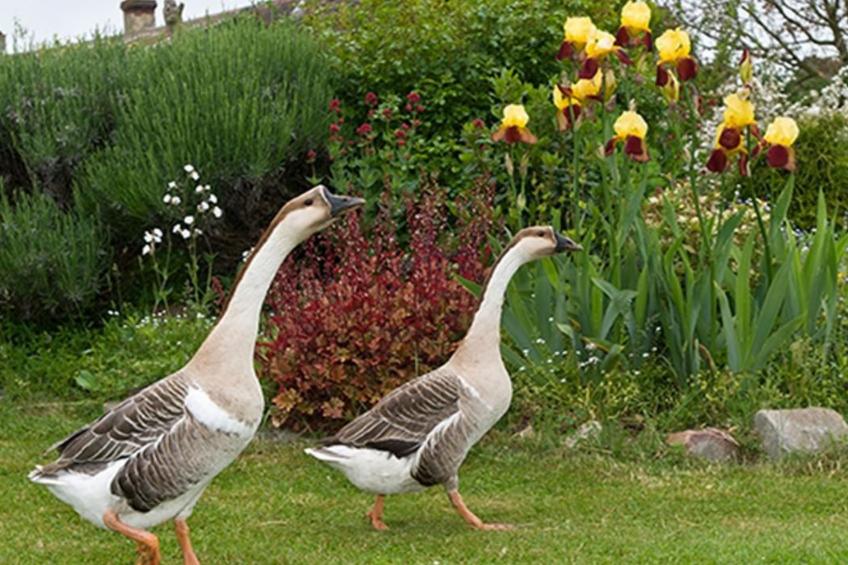 mit Terrasse - foto 22