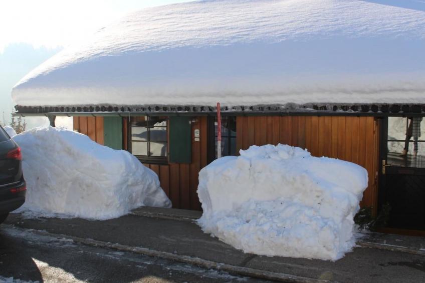 Alpkönigin - foto 22