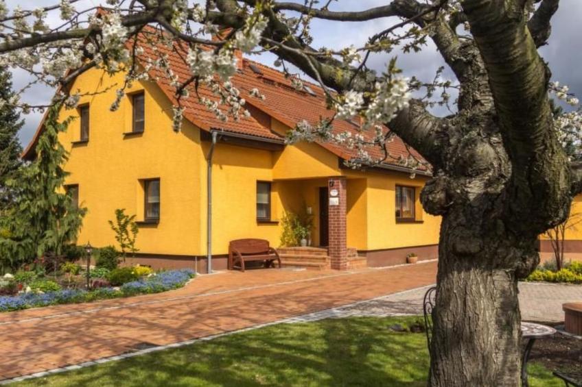 Wohnung in Niedergurig mit Grill, Sauna und Gart - foto 2