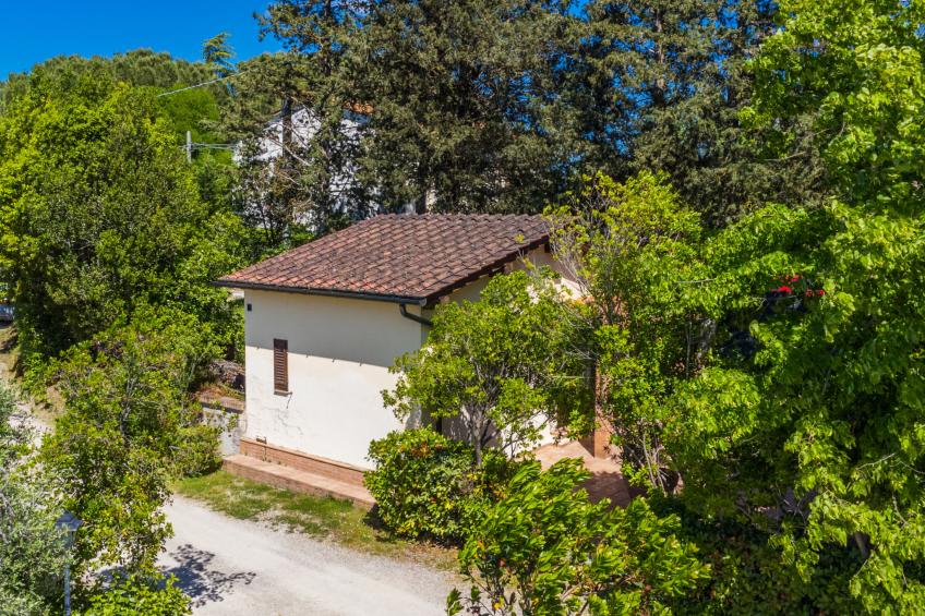 Azienda Agricola Cameli (CET120) - foto 12