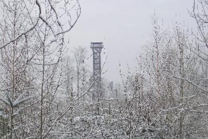 Nur-Dach-Ferienhaus für vier Personen - foto 17