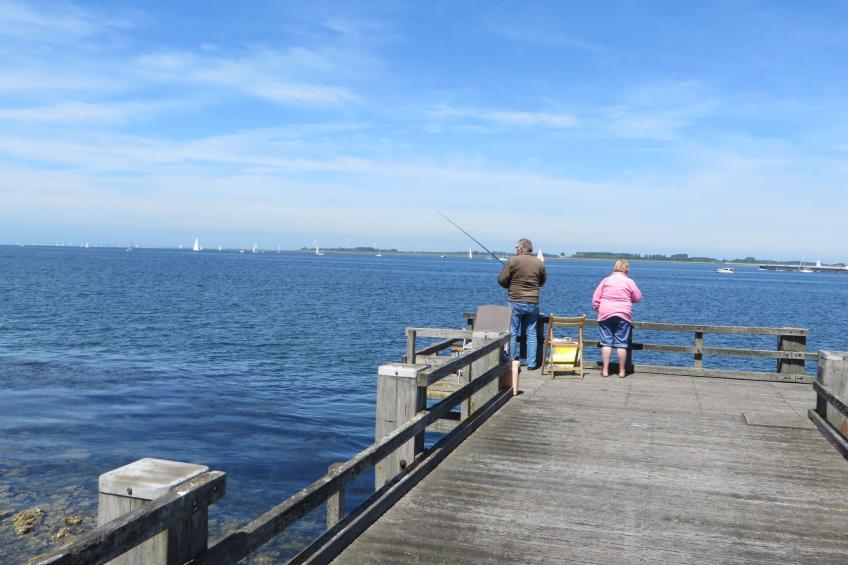 Seabreeze mit umzäuntem privatem Garten - foto 42