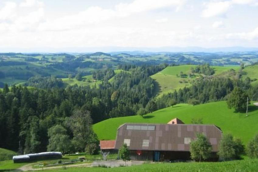 Ober-Tiefenbühl - foto 15