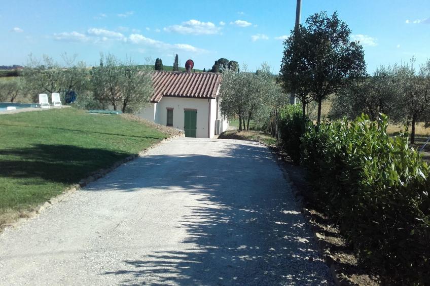 Sparsa Girasole - foto 25