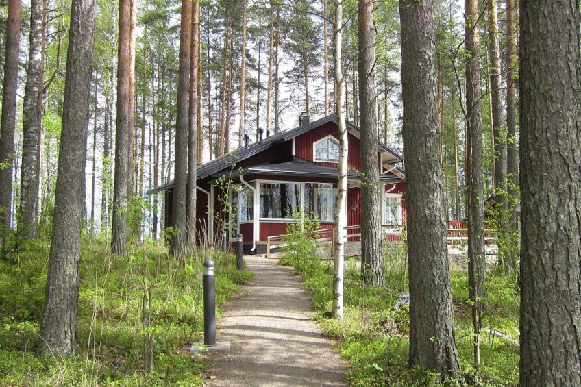 Rääkkylä, villa raita - foto 27