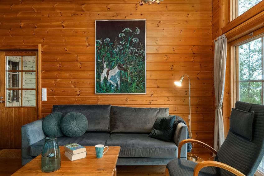 Joutsenlahti, pätiälän kartanon loma-asu - foto 8