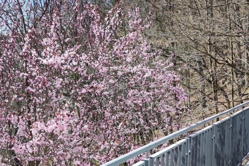 Chalet am Diemelsee - foto 19