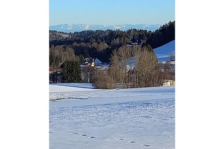 392589 - foto 30