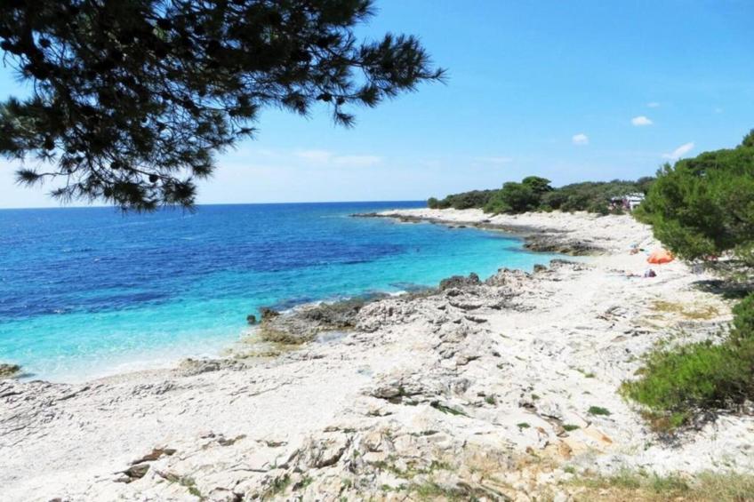 Gorgonia S2 - foto 16