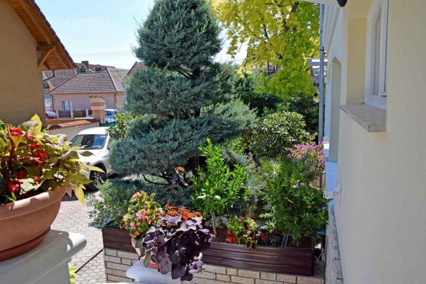Vakantiewoning met airconditioning en luxe inrichting - VW-79H8Z - foto 6