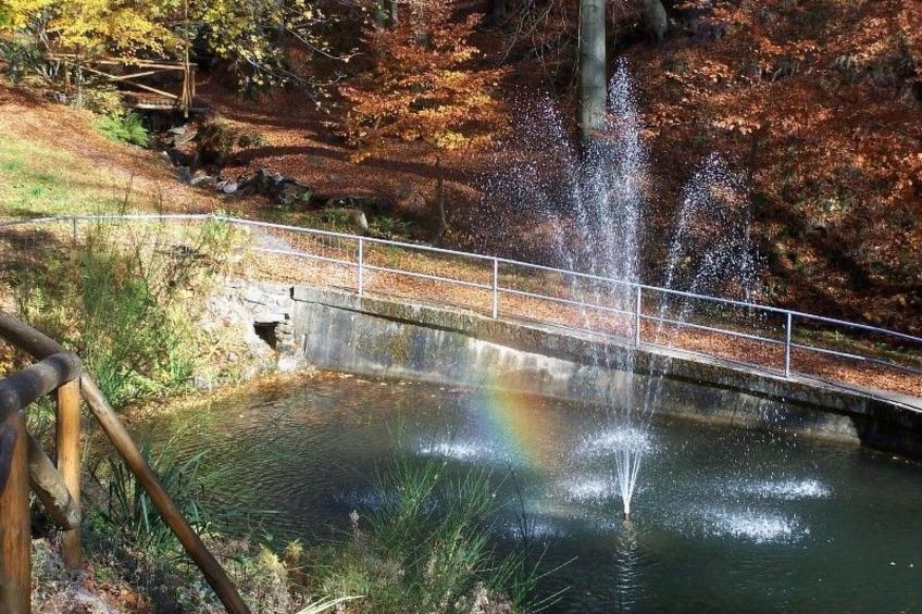 FeWo Panorama - foto 35