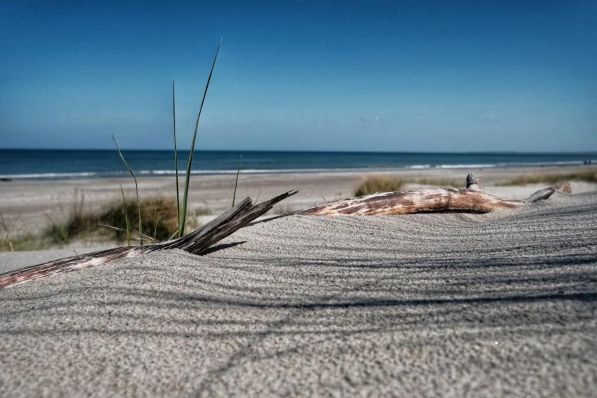 Studio 7 - Kranichhorst 4 Personen - foto 56