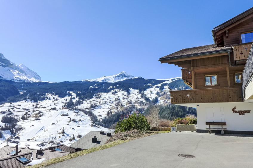 Chalet Adlerhorst EG - foto 24