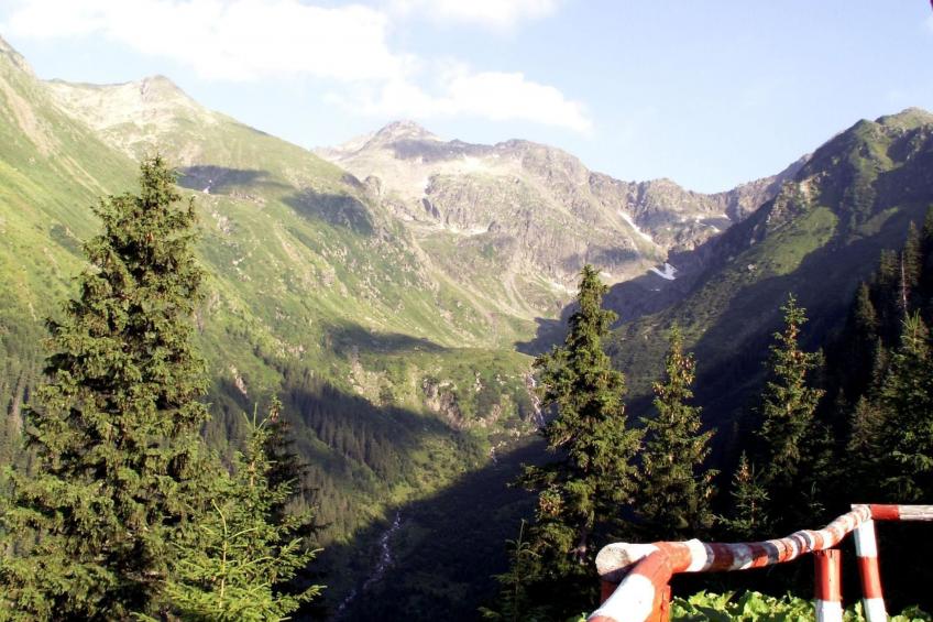 Casa Zollo - nahe den Karpaten Transsilvaniens - foto 33