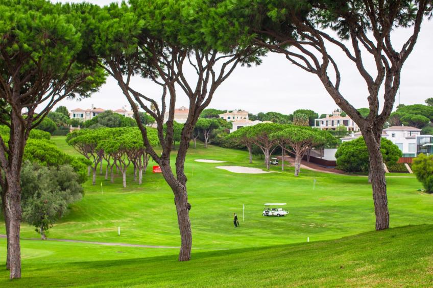 Wohnung "Falésia" mit Gemeinschaftspool - foto 62