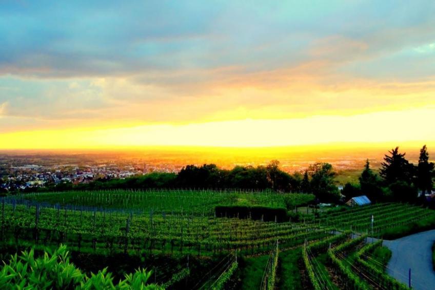 Traumwohnung - foto 40