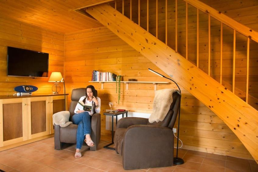 Ferienhaus in Hasselfelde - Haus 601 Auerhahn - foto 3