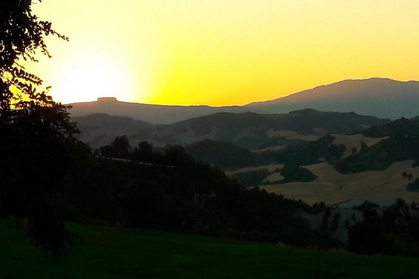 Piano Giardino - foto 11