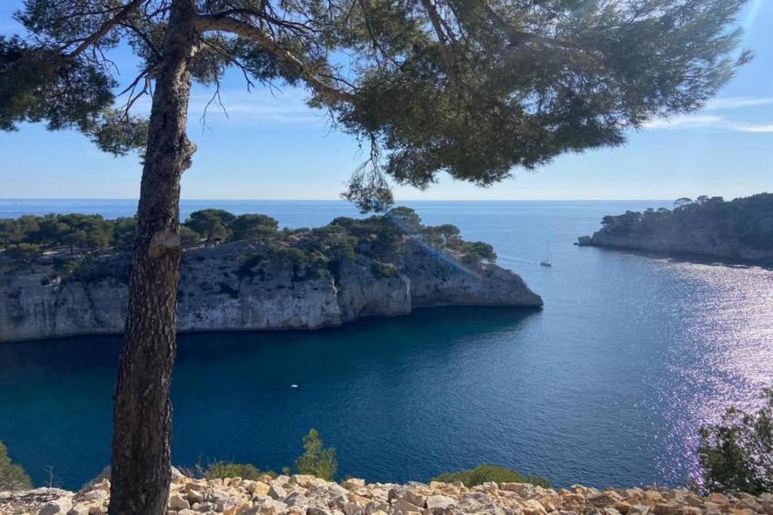 Shangri-La - foto 26