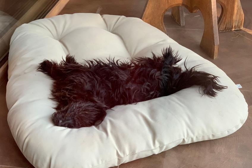 Chalet "Rennweg 114" mit Sauna - foto 87