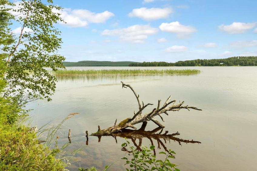 Villa vuorso - foto 22