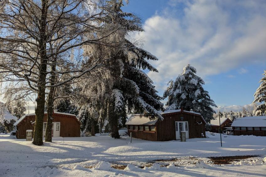 Charmantes Ferienhaus mit gemeinsamem Grill - foto 27