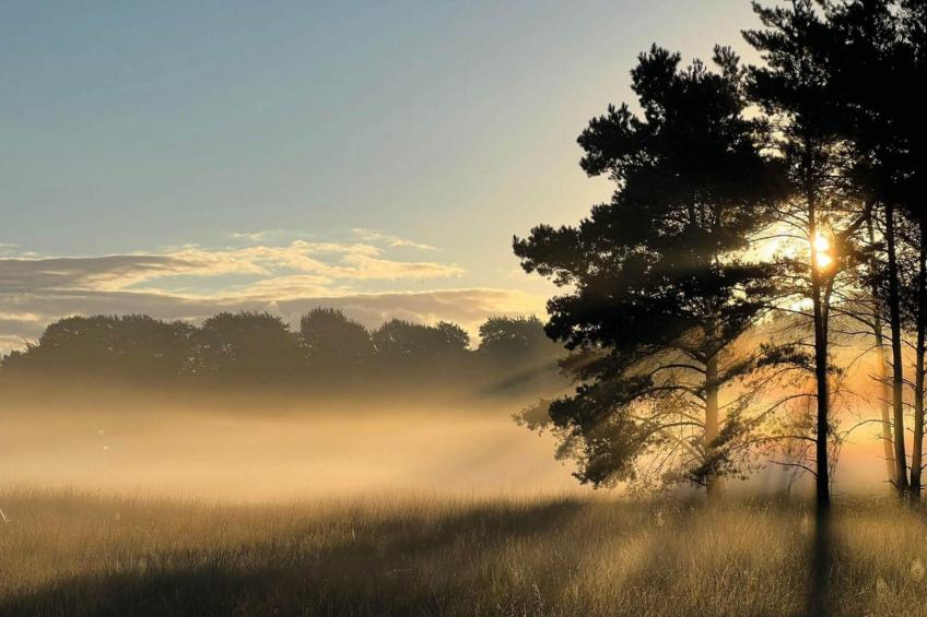 Dwergarend 17-30 - foto 32