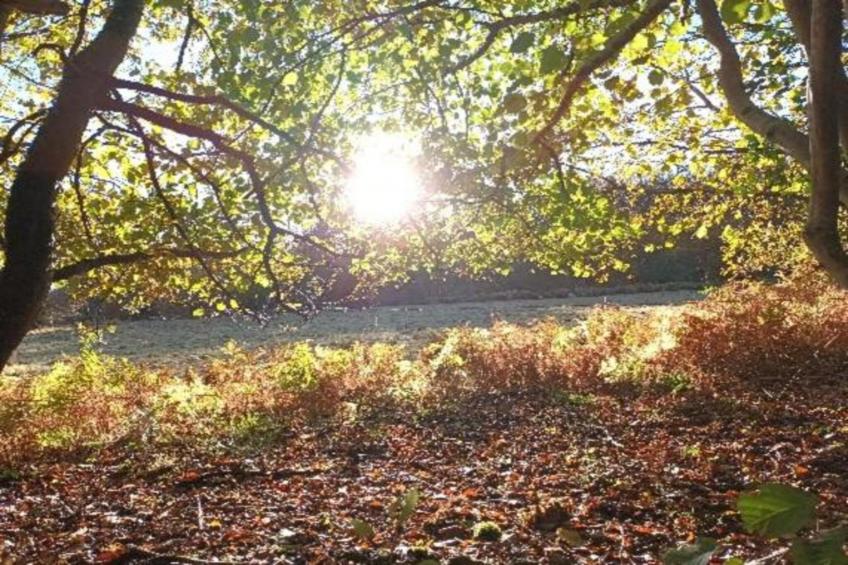 Village de Vacances Oignies 6 - foto 20