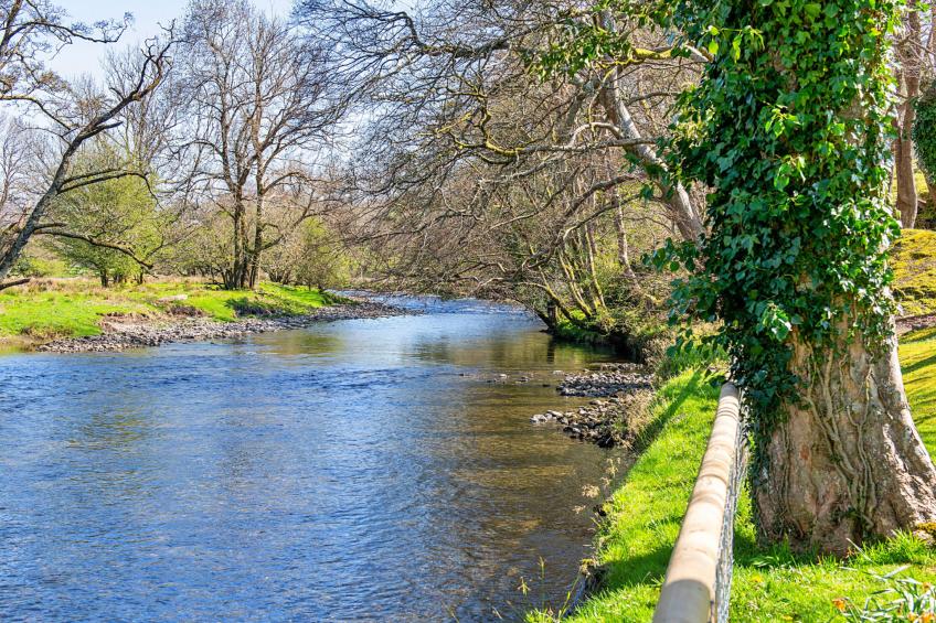 Felin Ship - foto 29