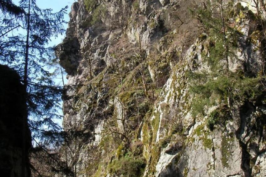 Chalet "Lena" - foto 39