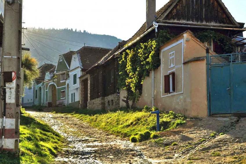Casa Nicu - traditionelles Landhaus in Hirtendorf - foto 19