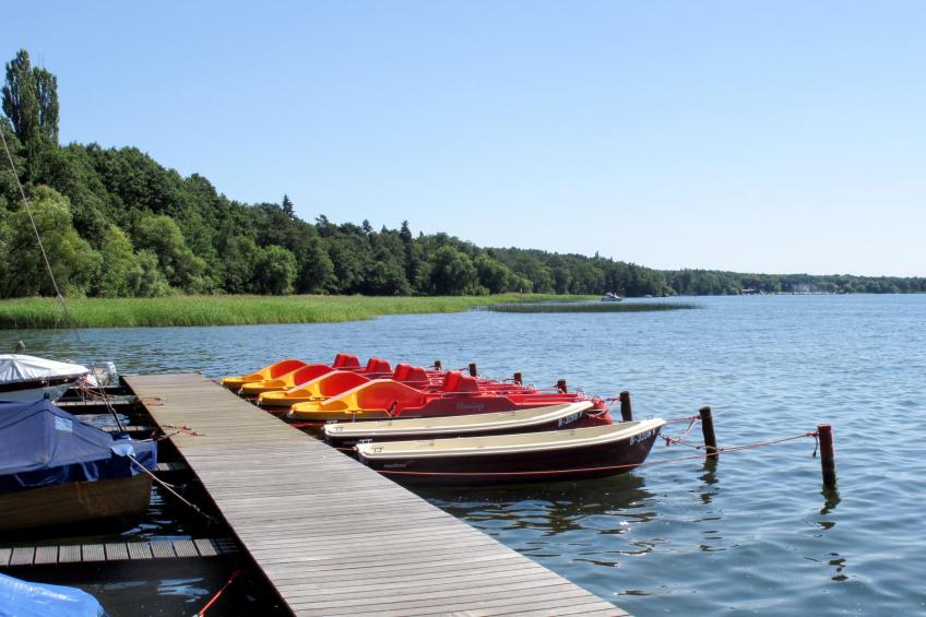 Schlosspark Bad Saarow (BSW103) - foto 15