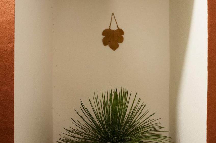 Wohnung 'Il Pergoletto' mit Terrasse - foto 34