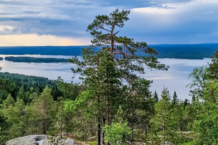 Villa savonia - foto 22