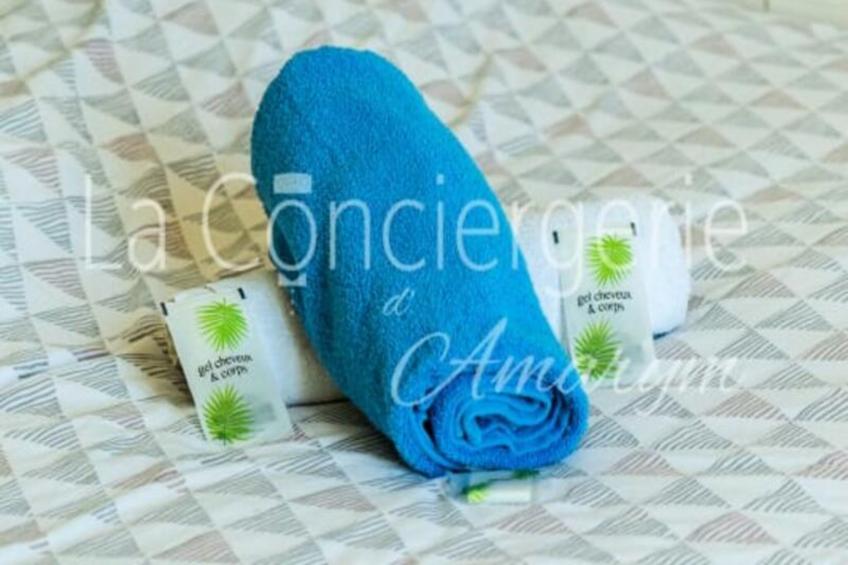 Résidence Mh01 - Appt Cosy Avec Vue Panoramique Sur La Mer - foto 26