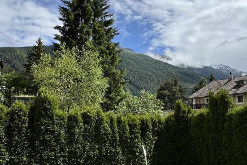 Chasa Ernst - foto 15