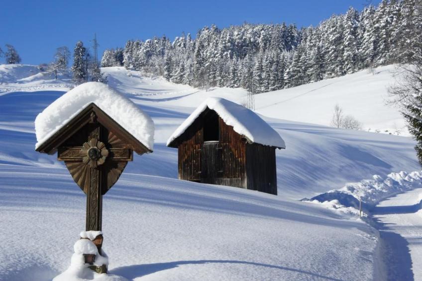 FEWO Gartenblick - foto 22