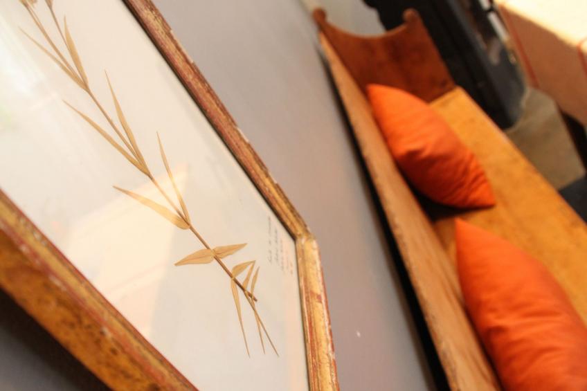 Coeur des Monts d'Ardeche - foto 5